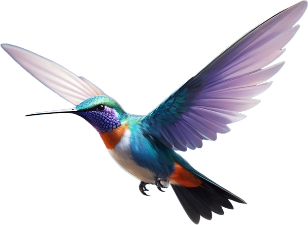 colibri